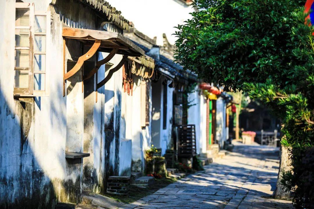 糖市早评：反弹持续 20240122